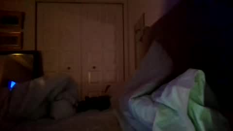 nassobout online show from December 17, 2024, 7:40 am