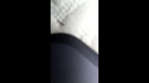 nastysubs69 online show from January 12, 2025, 4:21 am