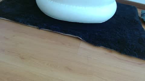 nath_dawson online show from January 16, 2025, 2:30 pm