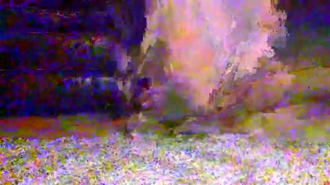 naughty__hotty online show from March 15, 2026, 7:25 am