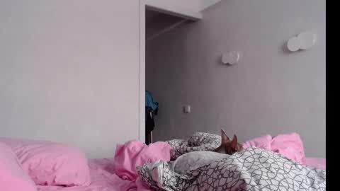 Chris Carrie online show from February 4, 2025, 4:05 am