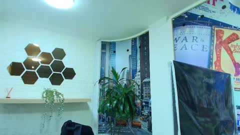 Kitten online show from March 5, 2025, 10:22 am