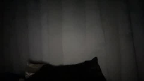 Rose Wilson online show from January 6, 2025, 10:24 am