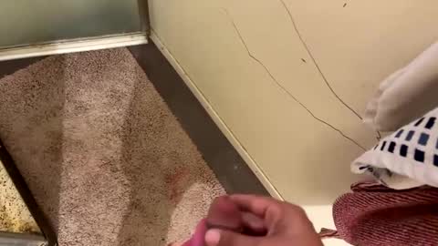 nbarrie98 online show from December 7, 2024, 4:25 pm