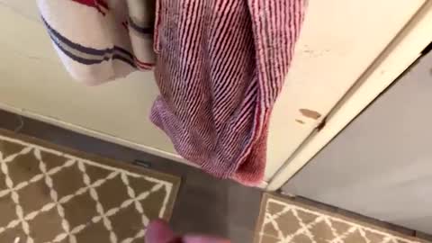 nbarrie98 online show from February 9, 2025, 4:18 pm