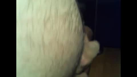 ncbncb online show from December 1, 2024, 8:09 pm