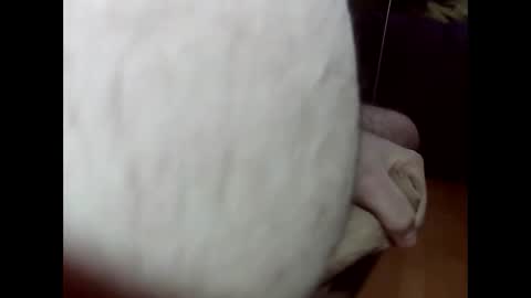 ncbncb online show from March 1, 2025, 8:21 pm