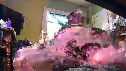 ND Cowpoke online show from February 8, 2025, 9:46 pm