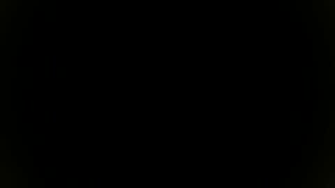 Snapshot of needfullthx chatting on November 8, 2025, 7:34 pm Sebastian online show from November 8, 2025, 7:34 pm