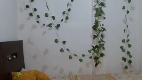 Neithanzyn online show from February 6, 2025, 10:10 pm