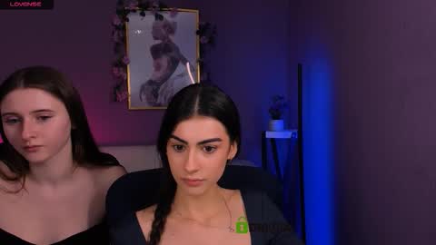 Meow online show from December 15, 2025, 10:19 am