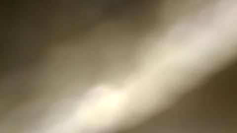 Snapshot of nembo1974 chatting on July 28, 2026, 8:12 pm boo online show from July 28, 2026, 8:12 pm