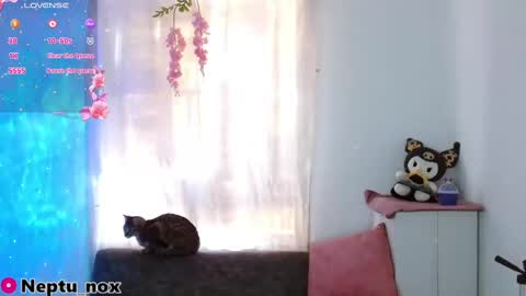 Snapshot of neptu_noxx chatting on January 31, 2025, 9:48 pm Neptu noxx online show from January 31, 2025, 9:48 pm