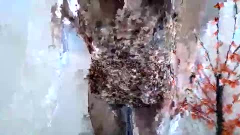 Crystal New online show from January 15, 2026, 7:46 am