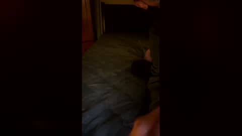 netgear70 online show from December 17, 2025, 5:46 am