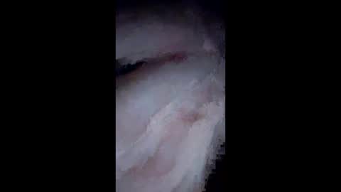 NvrSats911 online show from December 25, 2024, 10:06 am