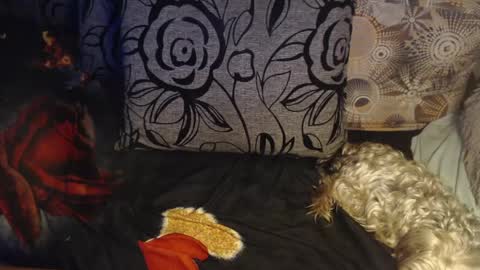 Lilly  online show from April 6, 2026, 3:15 am