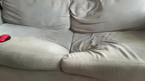 NH online show from December 7, 2024, 11:51 am