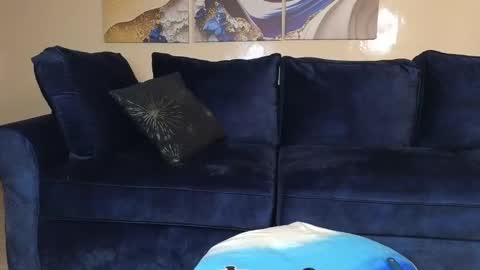 Lilly online show from December 21, 2024, 11:33 am