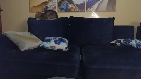 Lilly online show from February 22, 2025, 9:48 pm