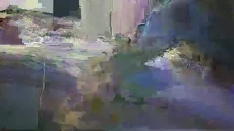 niceausbloke online show from March 27, 2026, 10:04 am