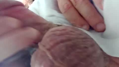 TheCock online show from December 24, 2024, 3:05 am