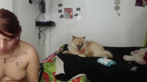Snapshot of nickyandcam chatting on April 11, 2026, 12:48 am Nickyandcam online show from April 11, 2026, 12:48 am