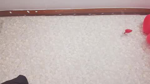 Nicol online show from February 15, 2025, 7:17 pm