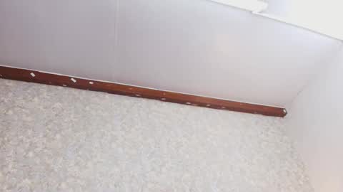 Nicol online show from October 3, 2025, 7:44 pm