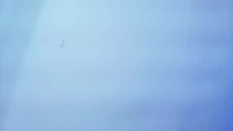 Nicolle online show from January 19, 2026, 11:25 am