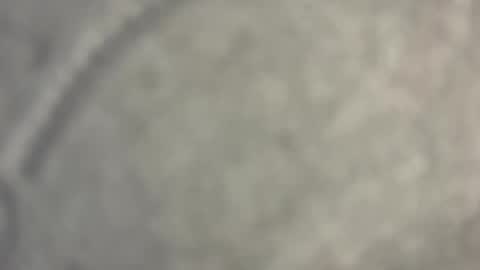 Nicoll  Independent model online show from April 15, 2026, 8:43 am