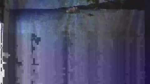 OHB Old Horny Bastard online show from January 13, 2025, 5:12 am