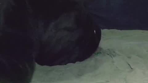 Watch us Fuck online show from March 8, 2025, 5:07 am