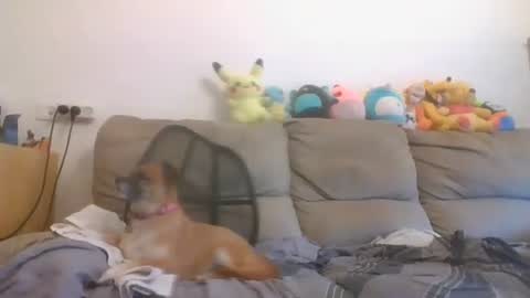 Brian and Logan Brogan online show from October 16, 2025, 6:36 am