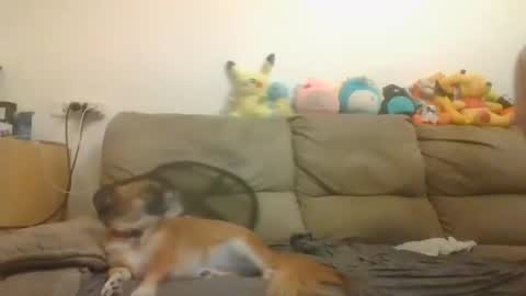 Brian and Logan Brogan online show from November 4, 2025, 3:33 pm