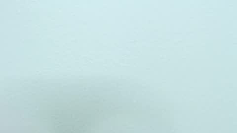 Nilly online show from December 18, 2024, 8:20 am