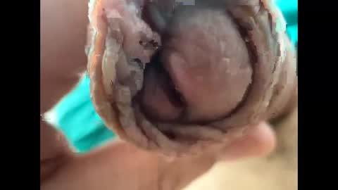 Nikolay online show from April 22, 2026, 9:22 am