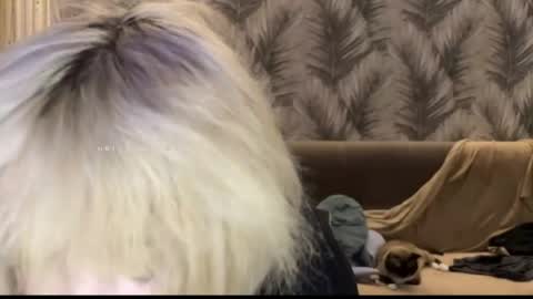 Snapshot of nikoli_naw chatting on June 11, 2026, 7:45 pm nikoli_naw online show from June 11, 2026, 7:45 pm