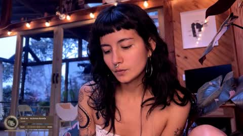 Nina.  online show from February 22, 2026, 9:24 pm