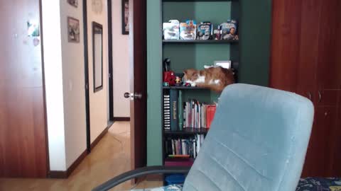 Nina Moon online show from December 3, 2025, 8:07 pm