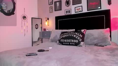 Alisson online show from February 8, 2026, 8:01 pm