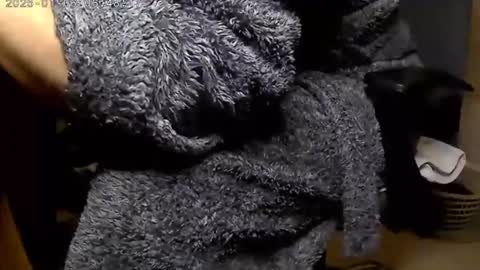 nineinchhard online show from January 6, 2025, 6:47 am