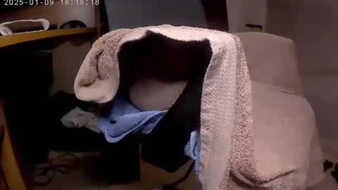 nineinchhard online show from January 9, 2025, 6:15 pm