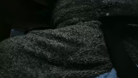 nineinchhard online show from February 8, 2025, 9:35 am