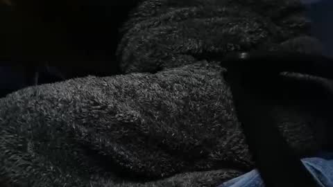 nineinchhard online show from February 11, 2025, 8:26 am