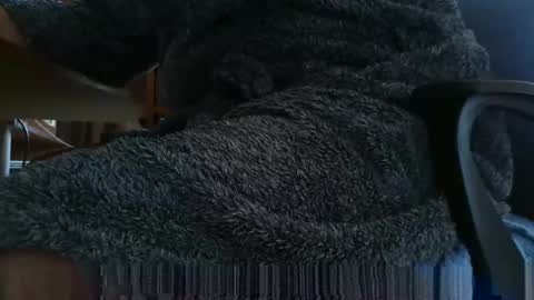 nineinchhard online show from March 4, 2025, 8:02 am