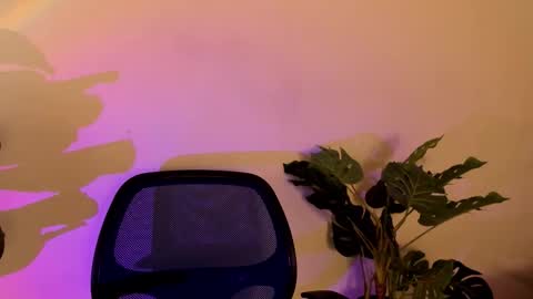 noah_dupont_ online show from November 10, 2025, 11:42 am