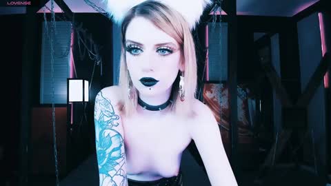 Snapshot of noah_elmer chatting on January 11, 2025, 2:20 am REAL name LiaDM are always open online show from January 11, 2025, 2:20 am