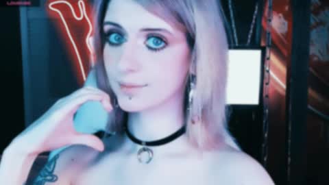 Snapshot of noah_elmer chatting on February 11, 2025, 7:48 pm REAL name LiaDM are always open online show from February 11, 2025, 7:48 pm