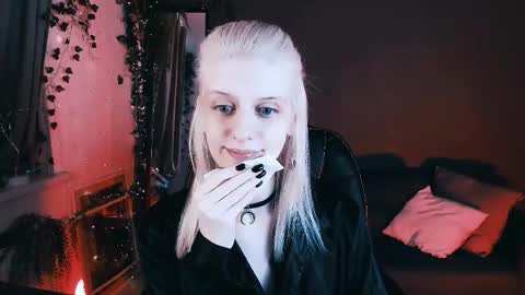 Snapshot of noah_elmer chatting on September 10, 2025, 2:39 pm REAL name LiaDM are always open online show from September 10, 2025, 2:39 pm